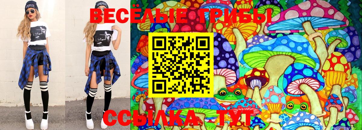 Лосино-Петровский  Галлюциногенные грибы Psilocybine cubensis  закладка  Вход с VPN 
