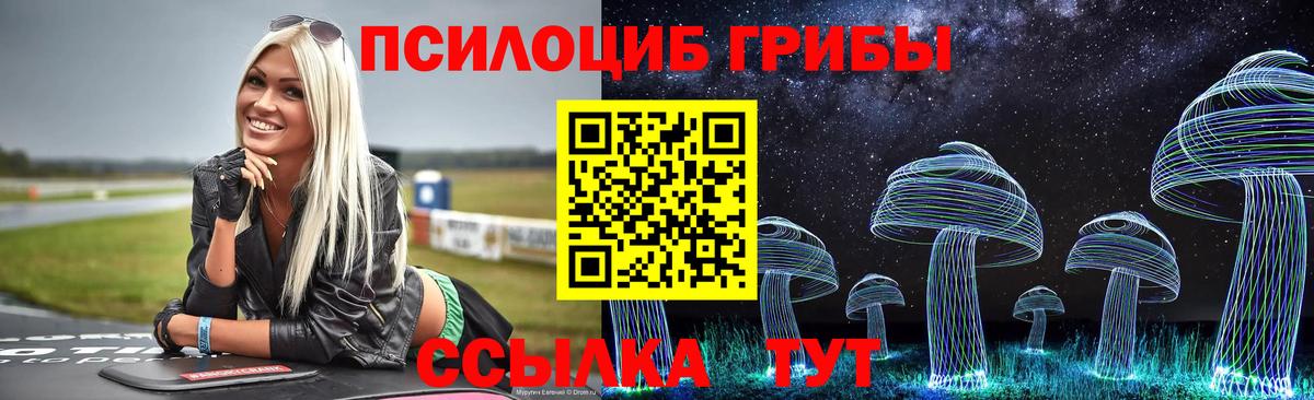 Псилоцибиновые грибы мицелий Лосино-Петровский